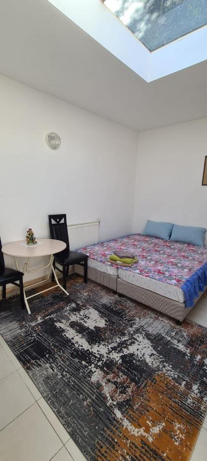 Sweet Home Antwerpen Anversa Esterno foto